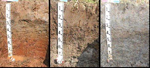 環境省・環境研究総合推進費の協力研究者として インドネシア・ジャワ島の土壌調査を行いました